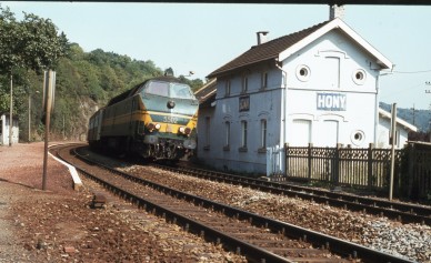 HONY  DIA 82-7913.jpg